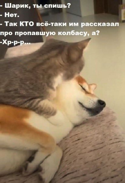 FB IMG 1757358011316