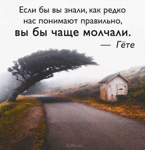 IMG 20250817 091042