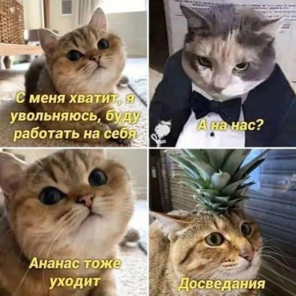 file_100750556