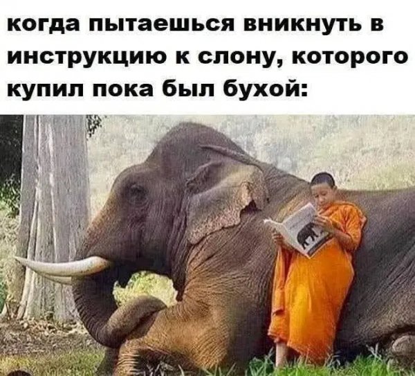 file_100735201