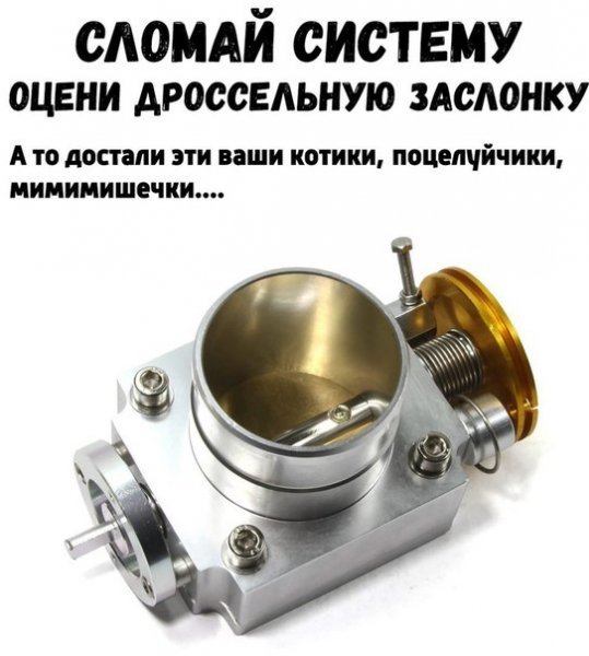 IMG 20250828 060801