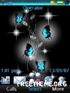 night butterflies