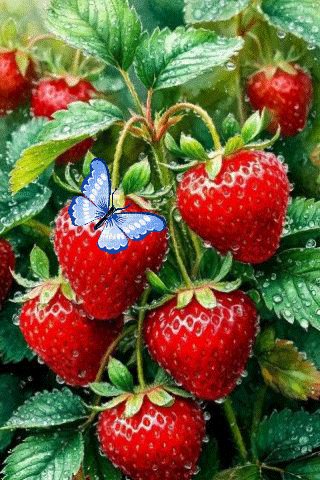 file_100050287