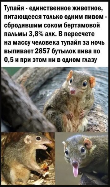 file_98947280