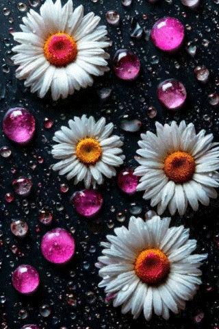 file_99654750