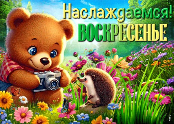 Наслаждаемся воскресеньем