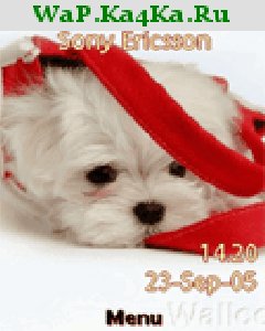 file_4349116