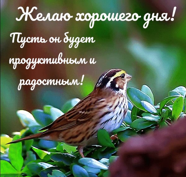 Добрый день