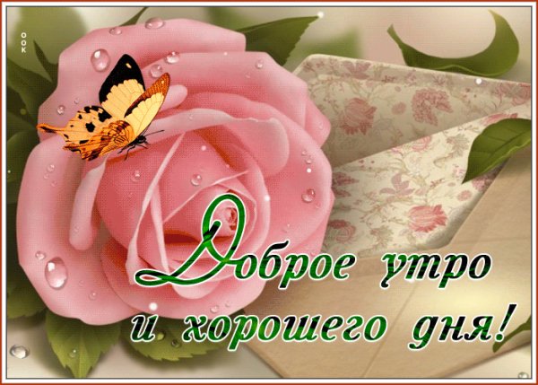 file_99402537