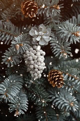 file_98715128