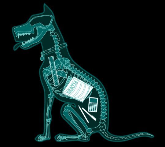 X ray Dog - Howlin&apos; Al Night
