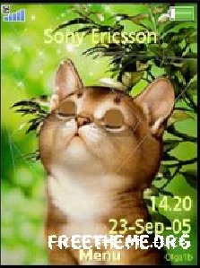 cat-summer-anim
