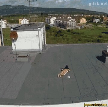 Назойливый гость