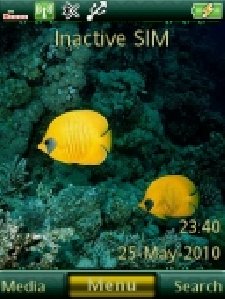 golden fish