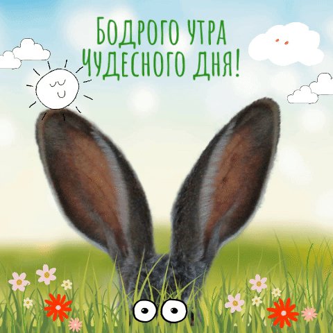 file_93758424