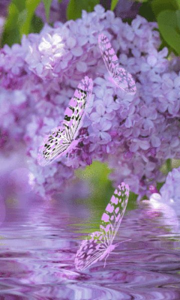 file_99602608