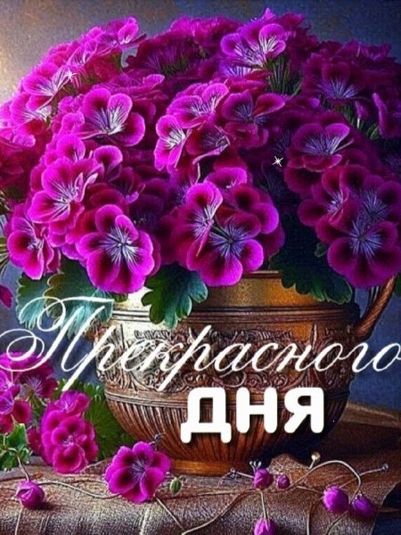 IMG 20250322 000540