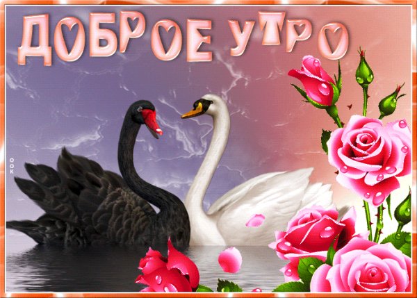 file_99377321