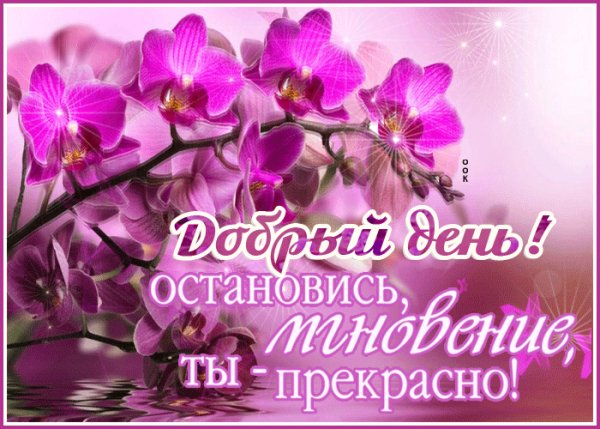 file_99149923