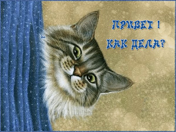 file_93566552