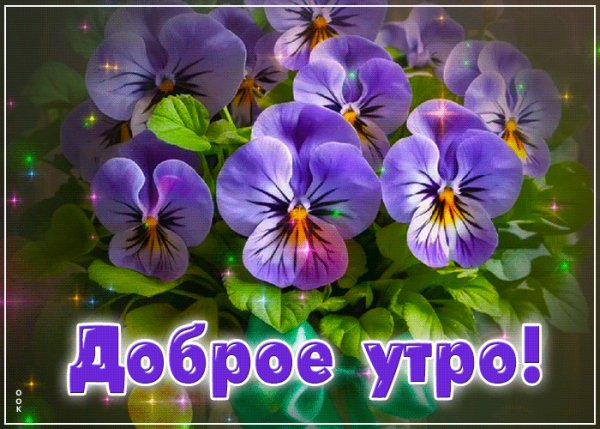 file_99079961