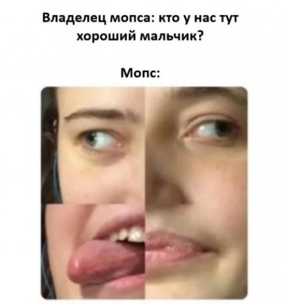 file_100708658