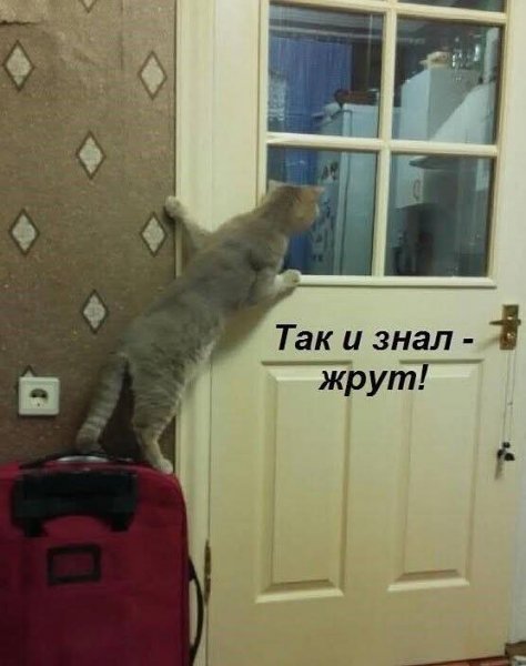 FB IMG 1757350489022