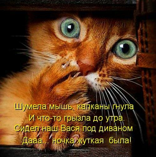 file_100759138