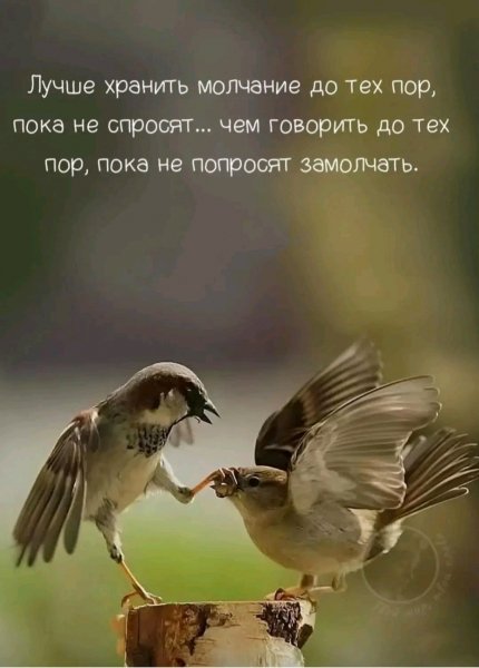 file_100595558
