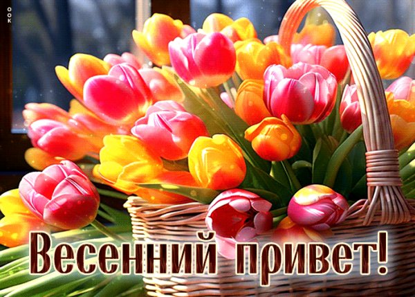 file_99153530