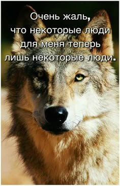 F5c062979683085e2b673307f8e81925