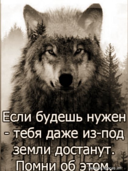 f.600.600.0-