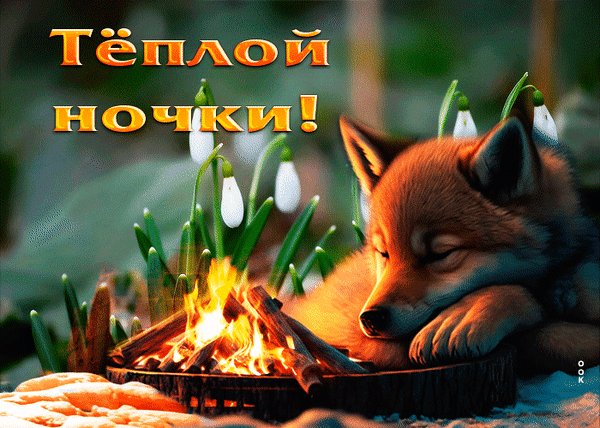 Анимированная открытка тёплой ночки