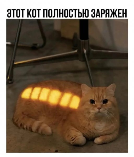 file_100735198