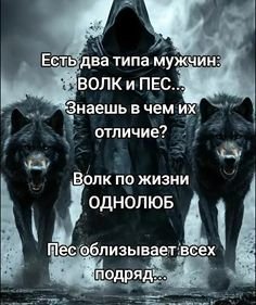 07be7624793785f89550fa8e38fee869