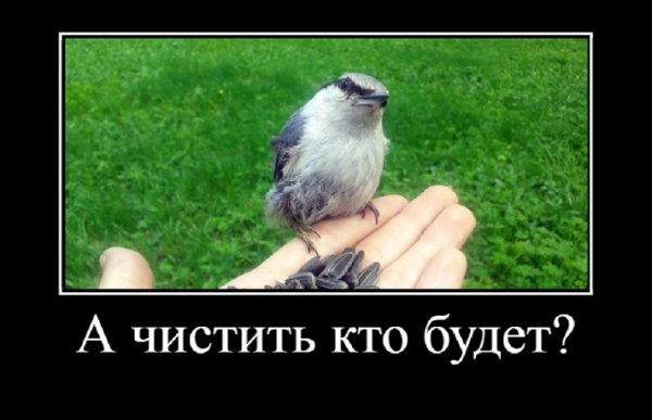 А чистить кто будет?