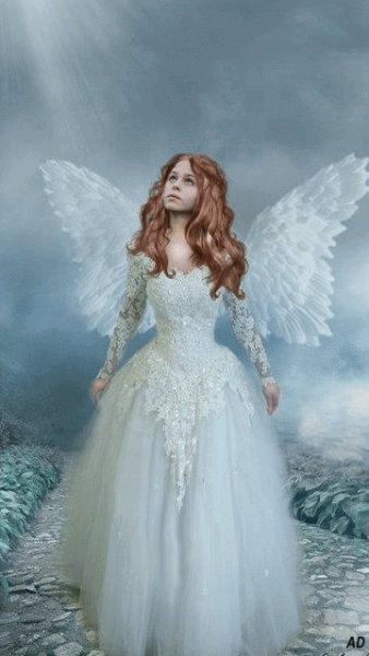 angel caqhxvss
