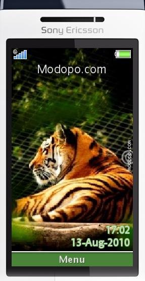 Tiger Planet