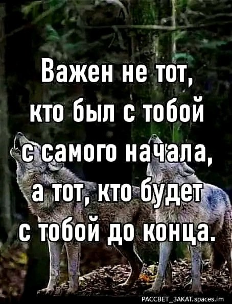 FB IMG 17063614003664839-