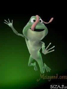 thmFunny Froggy