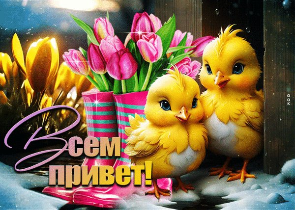 Анимированная открытка всем привет