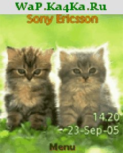 file_4349305