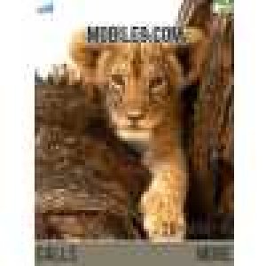wildlife vx8m1wlyльвёнок