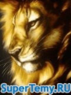 Majestic Lion
