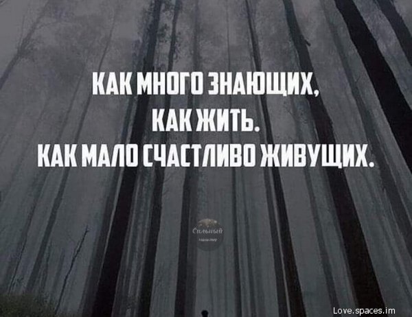 p.600.600.0-