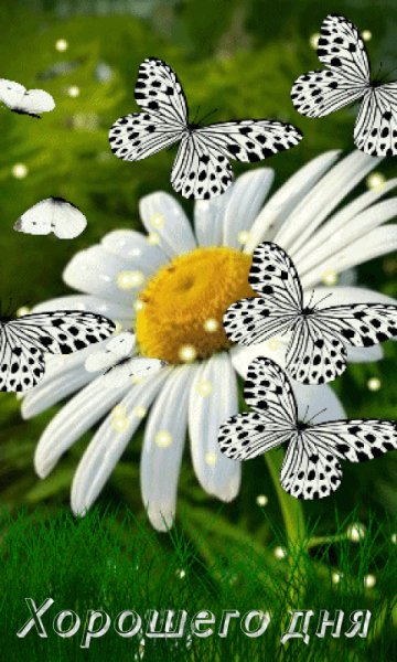 file_100386182