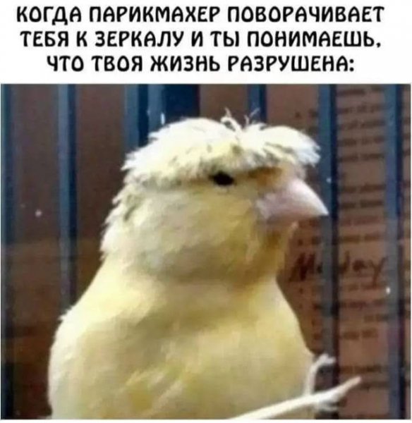 file_100735621