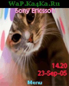 file_4348593