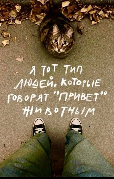 FB IMG 1756025626344
