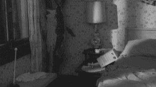 tumblr ngi73sOjpw1smzfbco1 400